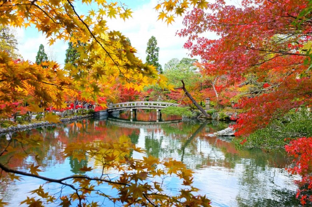Best Places to Visit in Kyoto, Japan | Expats Holidays