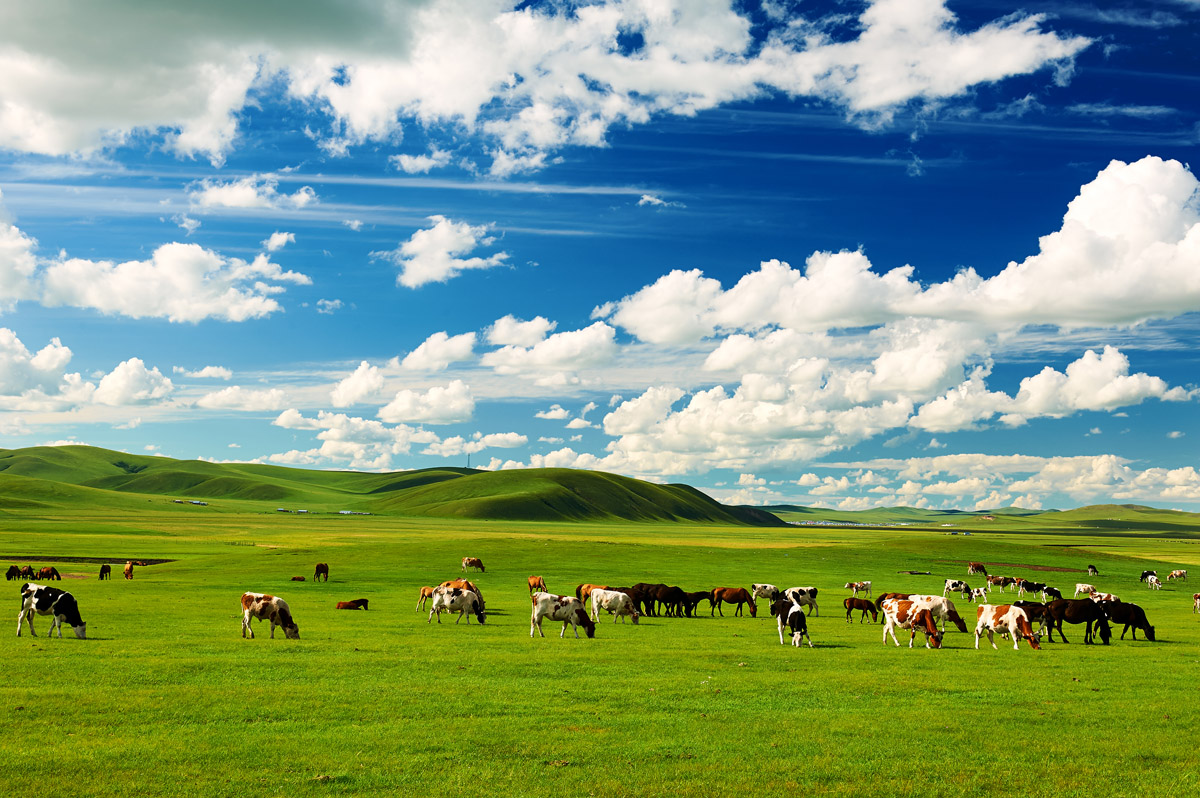 inner mongolia places to visit