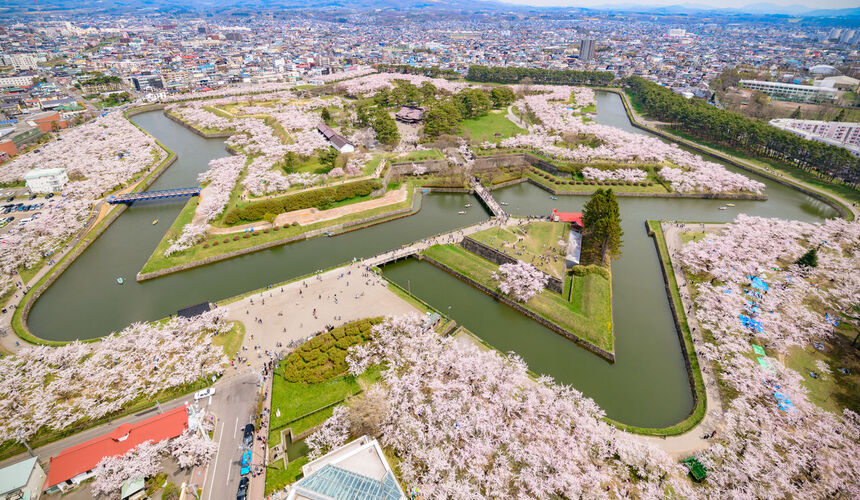 2025 Cherry Blossoms in Japan Expats Holidays