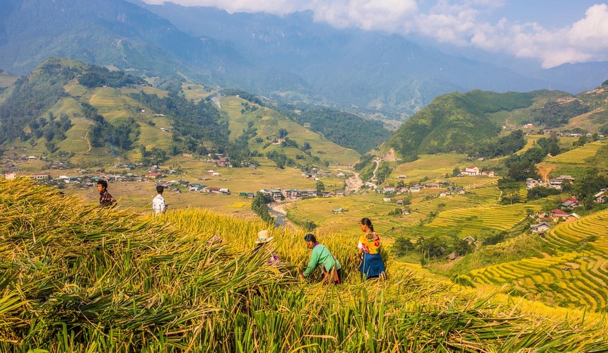 Terraced rice fields and misty mountains in Sapa, Vietnam.
